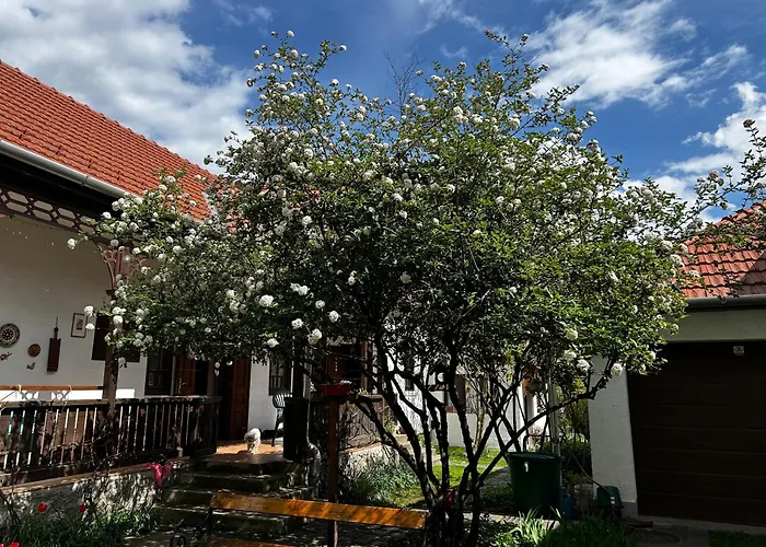 Magnolia Garden