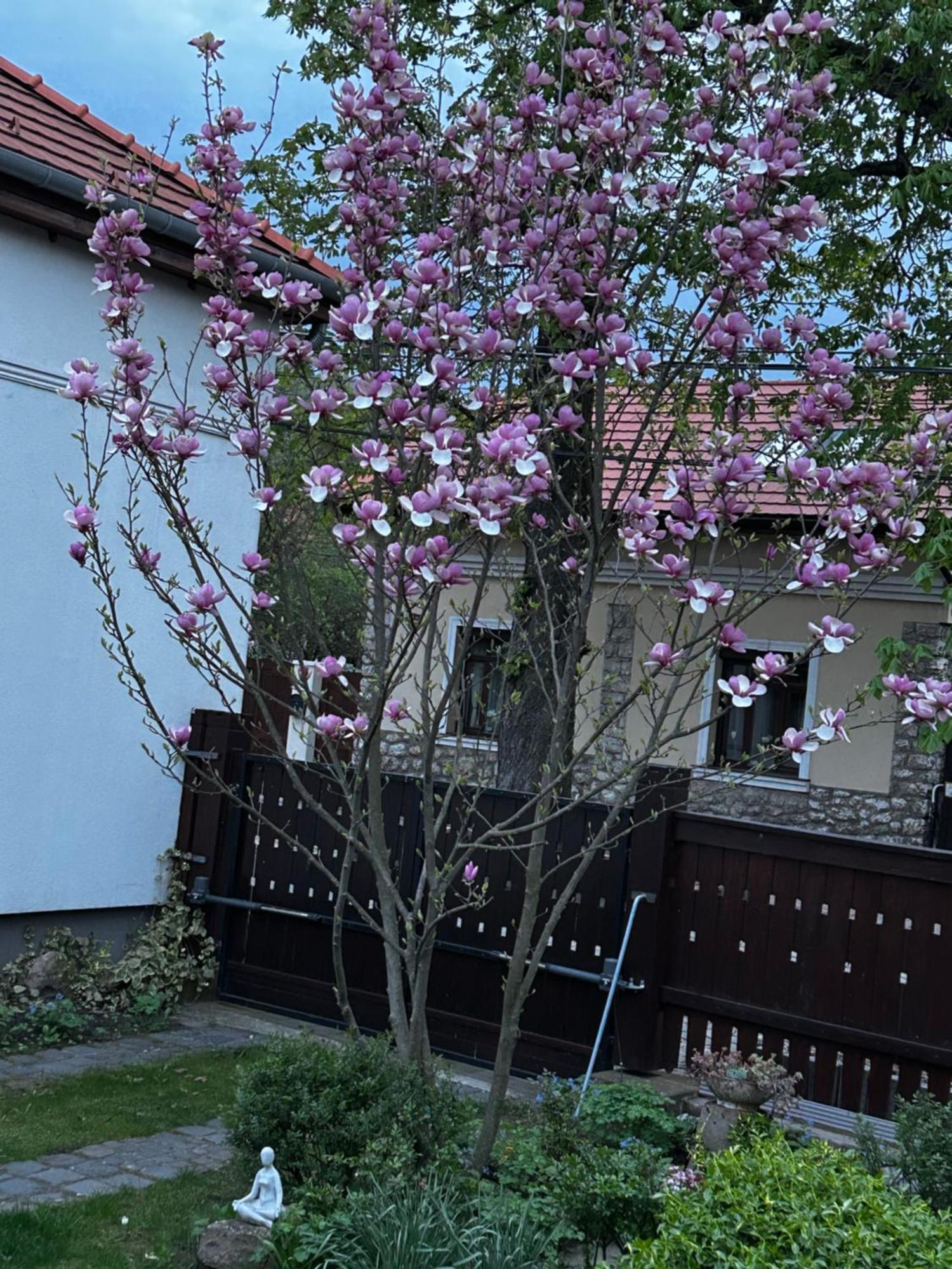 Magnolia Garden Apartment *